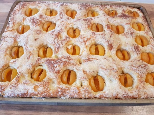 Butterzuckerkuchen mit Aprikosen Schmand Nästchen auf dem großen Ofenzauberer