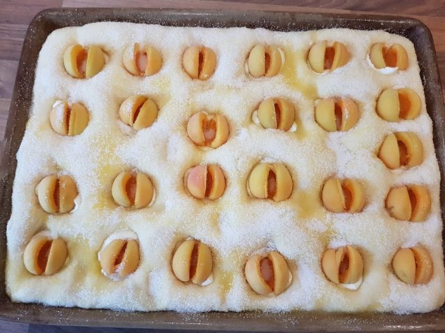 Butterzuckerkuchen mit Aprikosen Schmand Nästchen auf dem großen Ofenzauberer