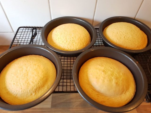 Schichtkuchen im Pampered Chef Schichttorten-Backset