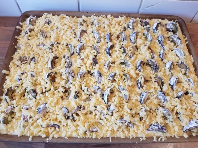 Zwetschgen Quark Kuchen mit Streussel auf dem großen Ofenzauberer