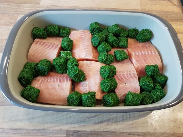 Wildlachs mit Spinat Sahne Soße in der großen Ofenhexe