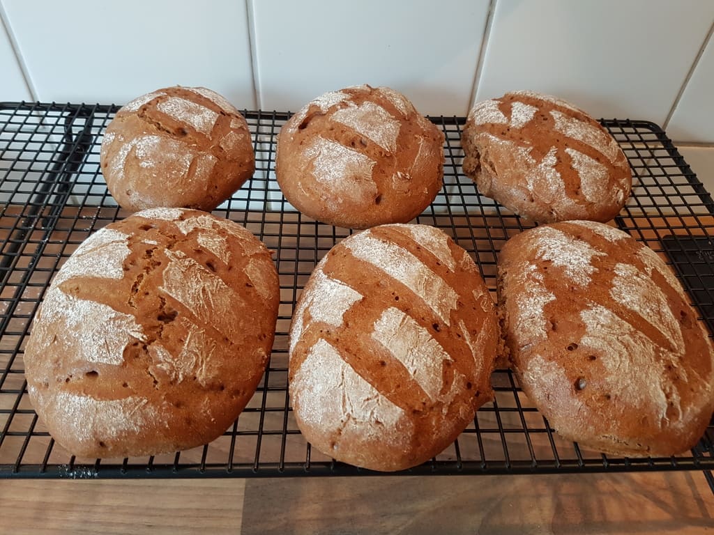 Roggenbrötchen für den Burgunder Braten