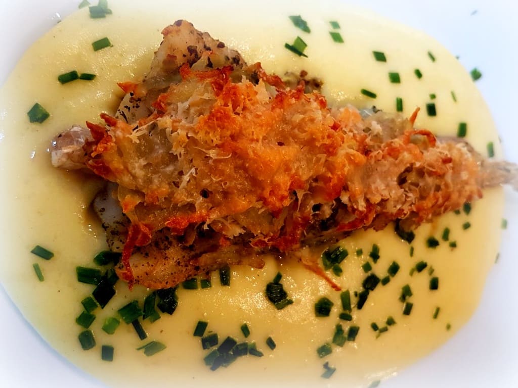 Seeteufelschwanz auf den kleinen RockCrok