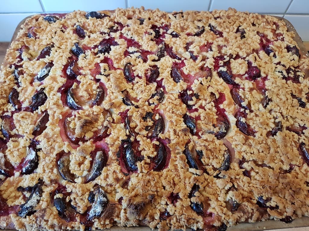 Zwetschgen Quark Kuchen mit Streussel auf dem großen Ofenzauberer