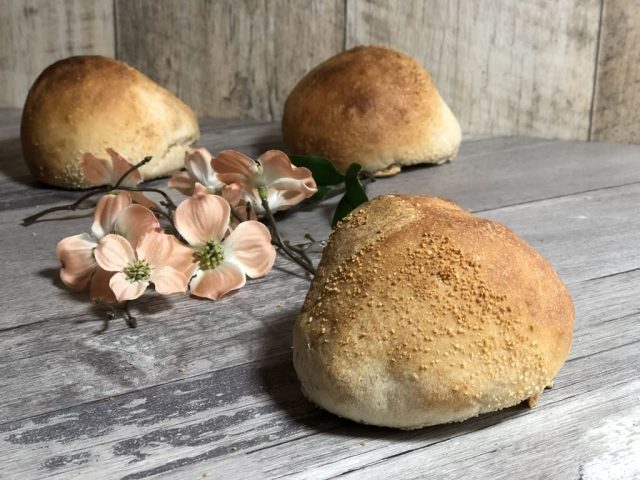 Claudia´s Knautzis auf dem Zauberstein