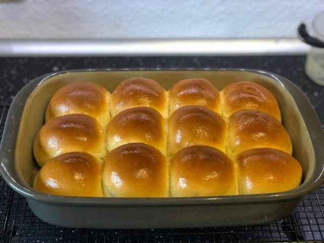 Dinner Rolls